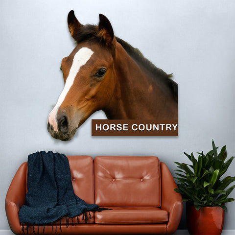 Image of Horse Country