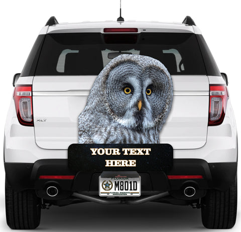 Image of Owl "Give a Hoot Don't Pollute"