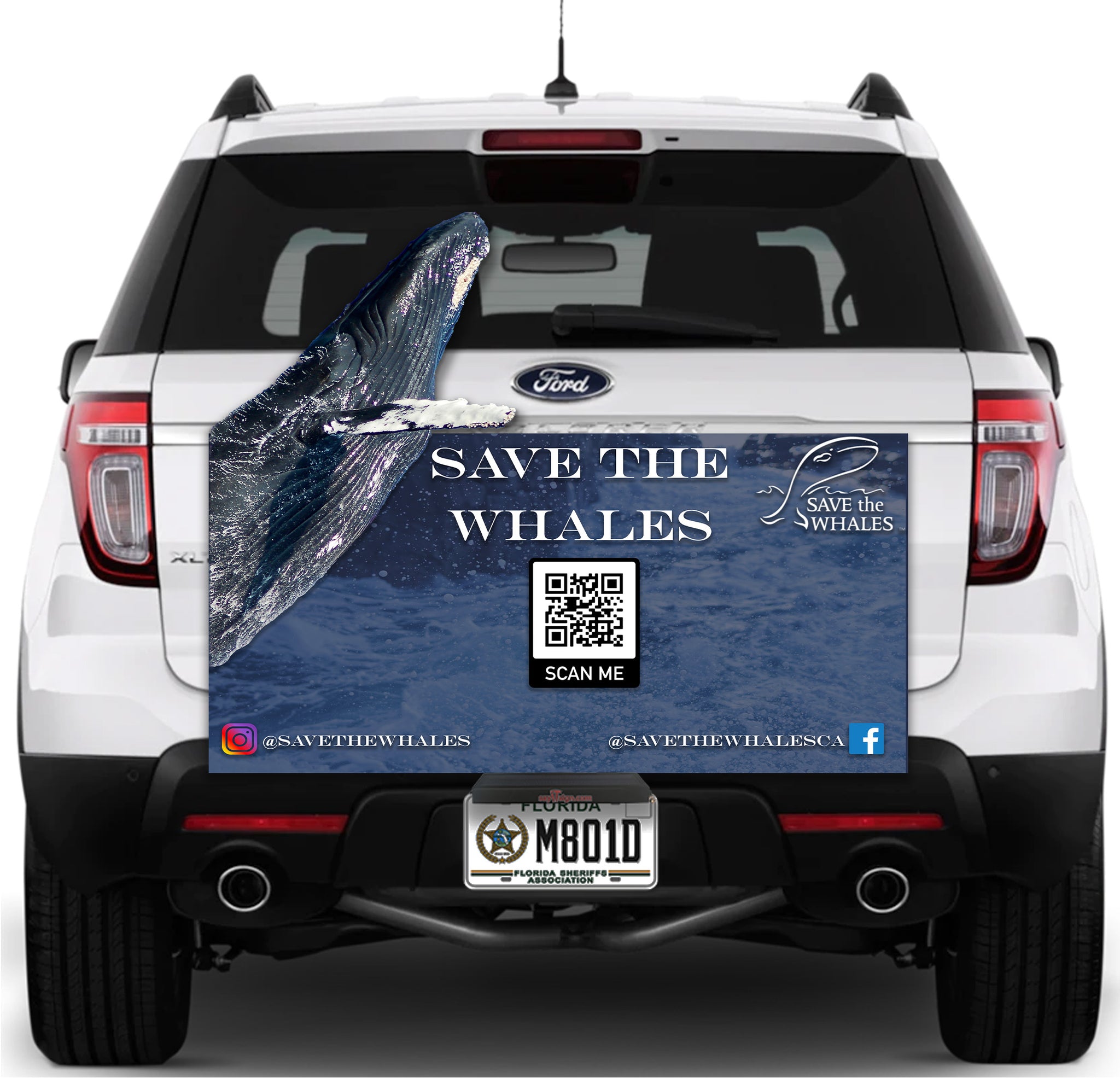 Image of Save the Whales Sign