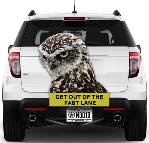 Image of Owl "Stay out of the fast lane"