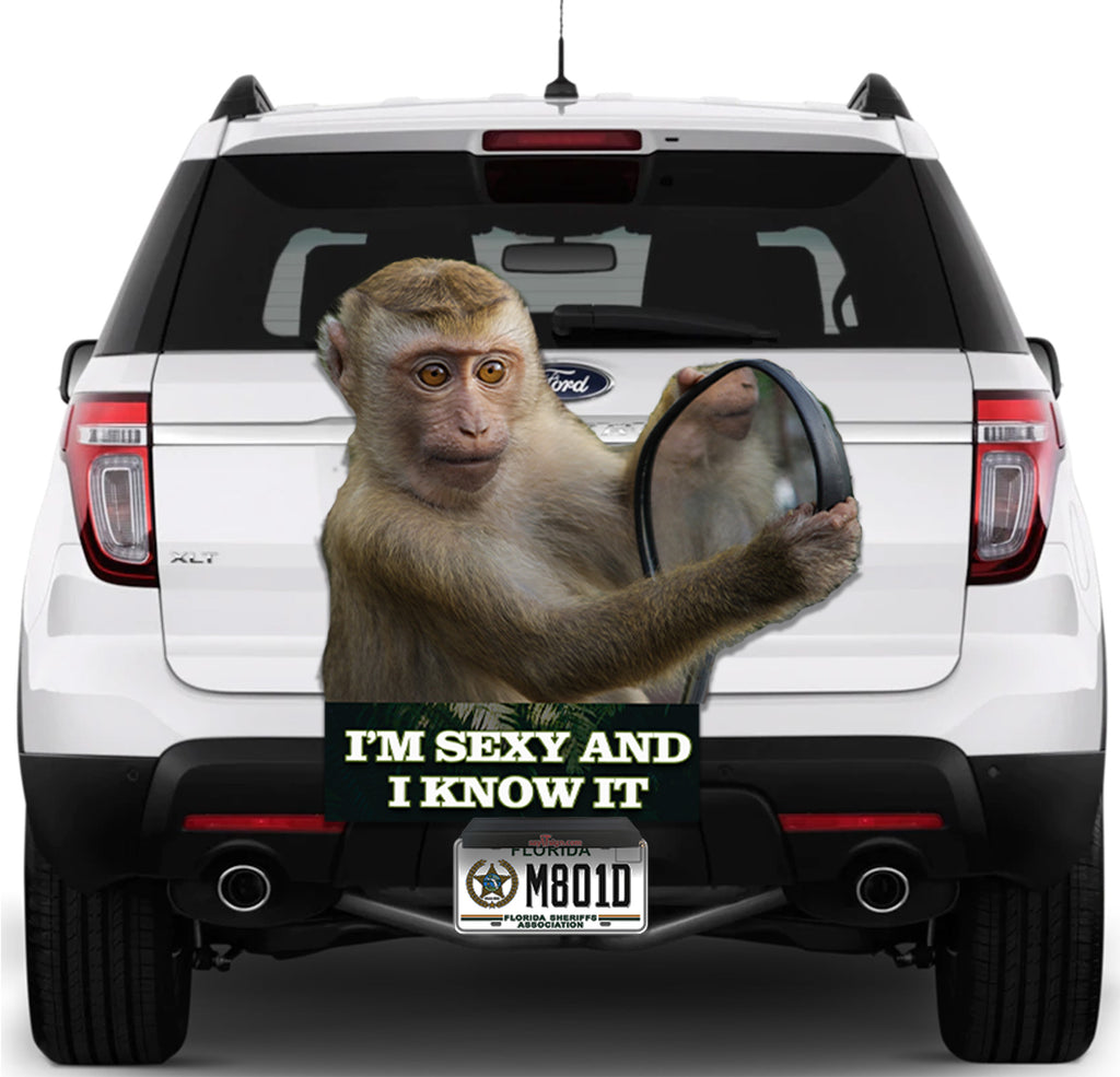 Monkey "I'm sexy and I know it"